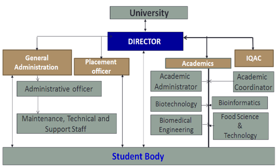 School Heirarchy